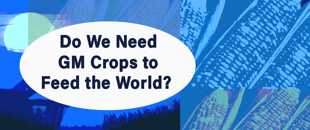 Do We Need GM Crops to Feed the World?